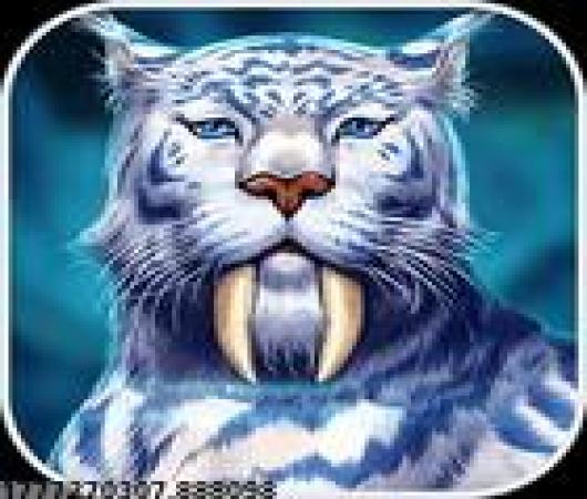 英雄战斗全明星